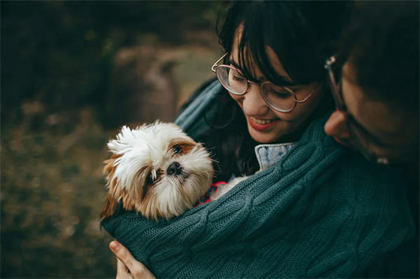 Como dar remédio para gato ou cachorro: 5 truques infalíveis